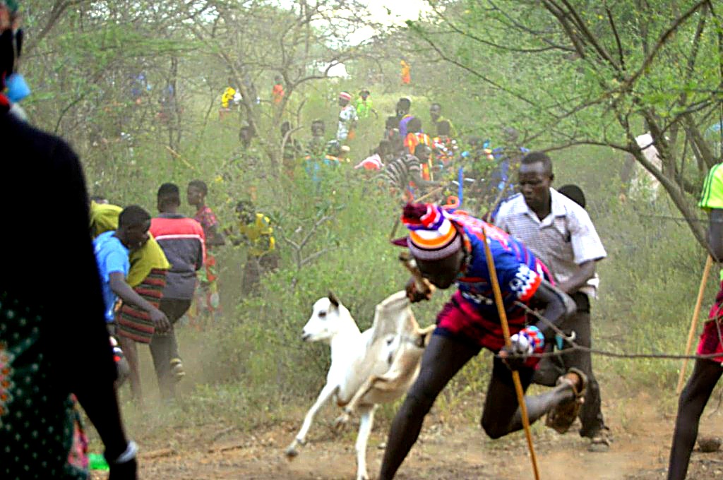 Pastoralist rangeland peace and preventing livestock raids